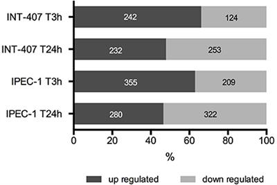 Comparative Proteomics Reveals Differences in Host-Pathogen Interaction between Infectious and Commensal Relationship with Campylobacter jejuni